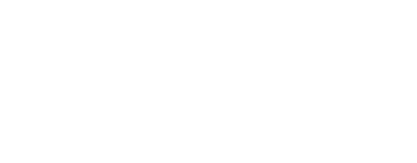 BGEI.CO